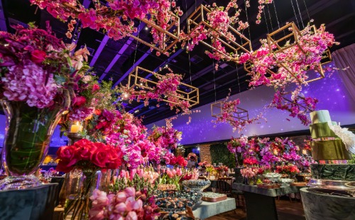 Mohit Bansal Chandigarh, Photographer