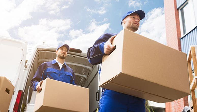 Kalonia Packers & Movers