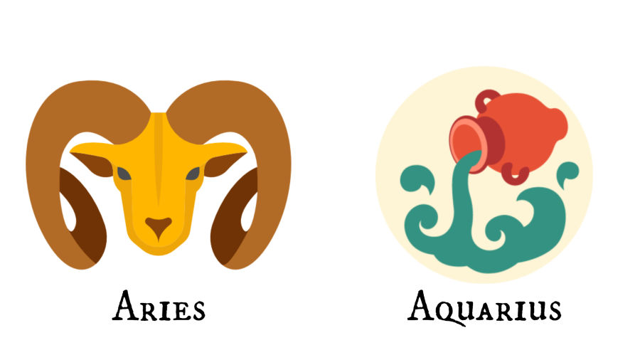 Zodiac signs perfect match