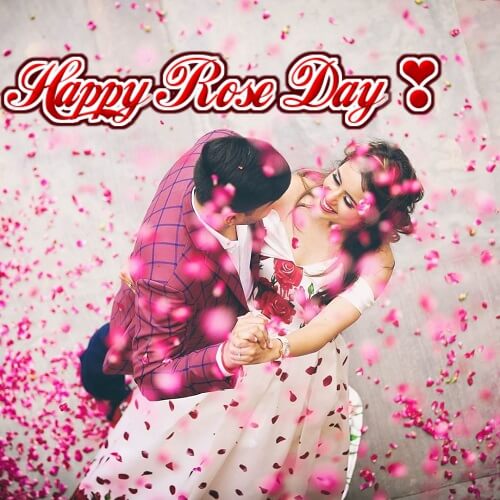Happy Rose Day 2021: Everything You Should Know- Origin, Rose Day Quotes, Proposal Ideas, and Gifting Ideas.